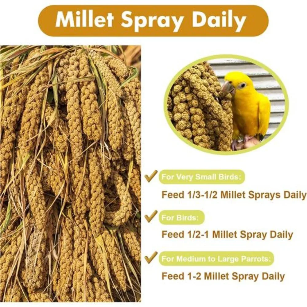 1LB Spray Millet Treat for Birds Parakeets, Natural Sun-Dried Birds Millet